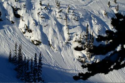 Alex Blais in-bounds laps