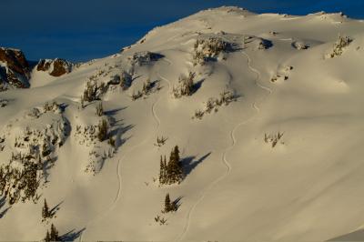 View The Tracks Album